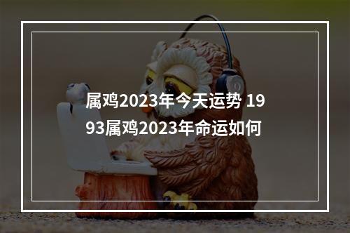 属鸡2023年今天运势 1993属鸡2023年命运如何