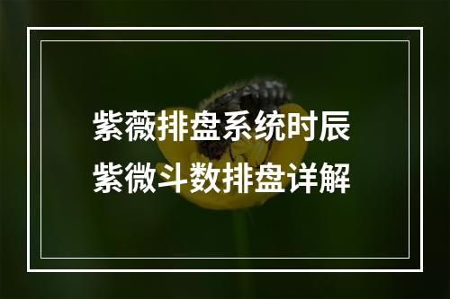 紫薇排盘系统时辰 紫微斗数排盘详解