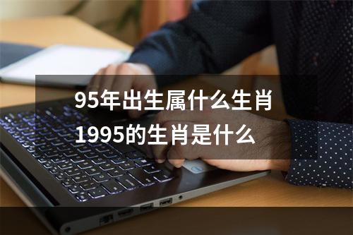 95年出生属什么生肖 1995的生肖是什么