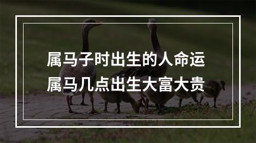 属马子时出生的人命运 属马几点出生大富大贵