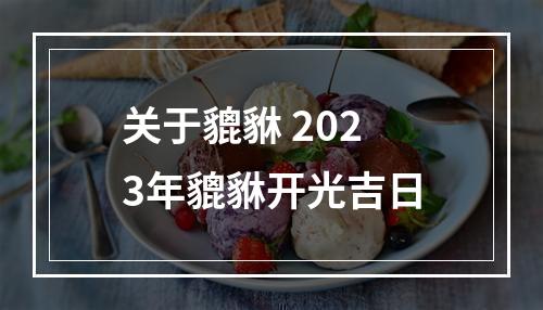 关于貔貅 2023年貔貅开光吉日