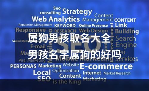 属狗男孩取名大全 男孩名字属狗的好吗