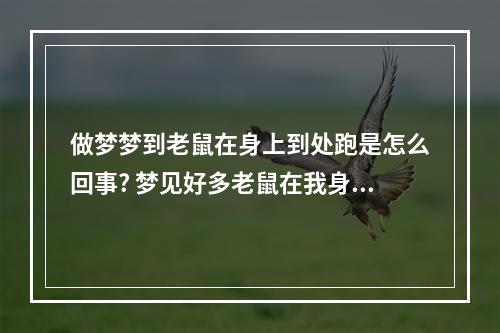 做梦梦到老鼠在身上到处跑是怎么回事? 梦见好多老鼠在我身上窜来窜去