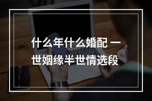 什么年什么婚配 一世姻缘半世情选段
