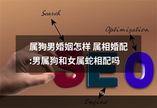 属狗男婚姻怎样 属相婚配:男属狗和女属蛇相配吗