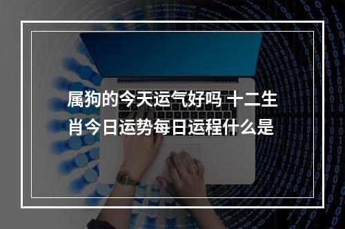 属狗的今天运气好吗 十二生肖今日运势每日运程什么是
