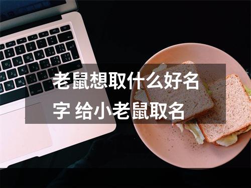 老鼠想取什么好名字 给小老鼠取名