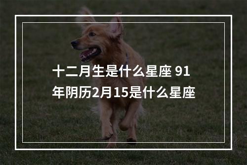 十二月生是什么星座 91年阴历2月15是什么星座