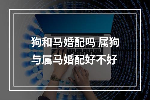 狗和马婚配吗 属狗与属马婚配好不好