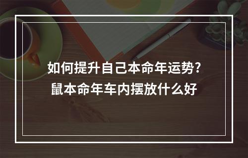 如何提升自己本命年运势? 鼠本命年车内摆放什么好