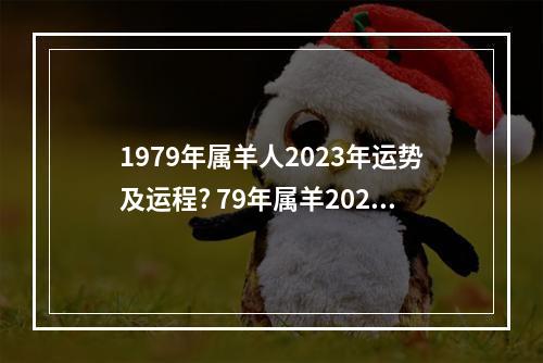 1979年属羊人2023年运势及运程? 79年属羊2023会添丁吗