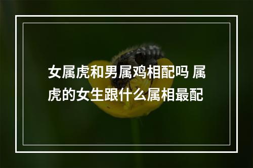 女属虎和男属鸡相配吗 属虎的女生跟什么属相最配