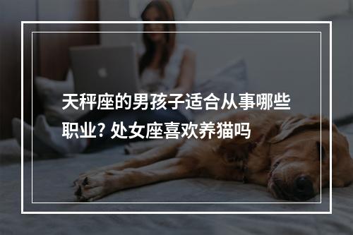 天秤座的男孩子适合从事哪些职业? 处女座喜欢养猫吗