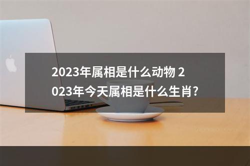 2023年属相是什么动物 2023年今天属相是什么生肖?