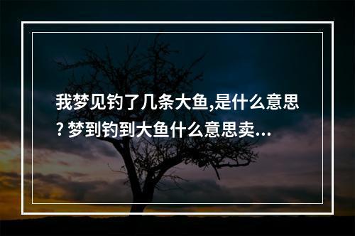 我梦见钓了几条大鱼,是什么意思? 梦到钓到大鱼什么意思卖好多钱