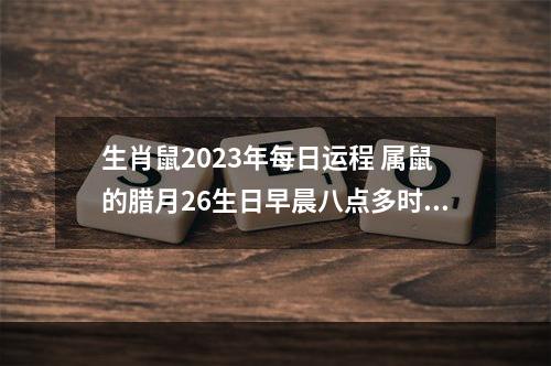 生肖鼠2023年每日运程 属鼠的腊月26生日早晨八点多时辰在2023年运势如何?
