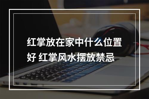 红掌放在家中什么位置好 红掌风水摆放禁忌
