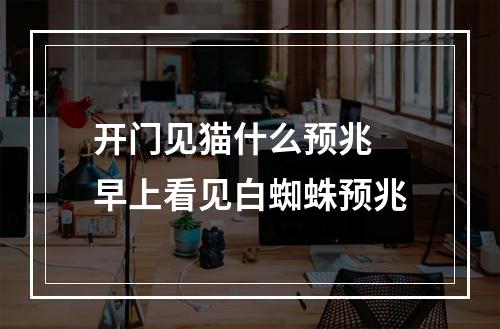 开门见猫什么预兆 早上看见白蜘蛛预兆