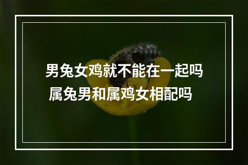 男兔女鸡就不能在一起吗 属兔男和属鸡女相配吗