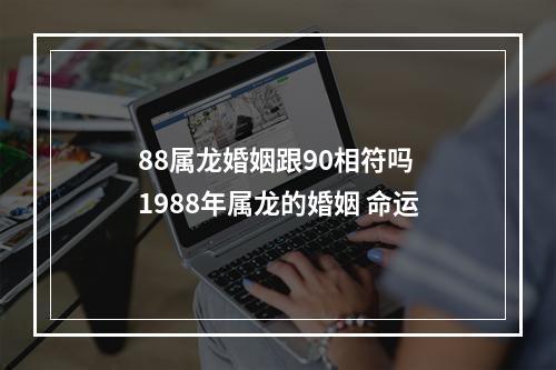 88属龙婚姻跟90相符吗 1988年属龙的婚姻 命运