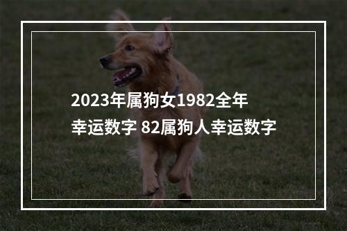 2023年属狗女1982全年幸运数字 82属狗人幸运数字