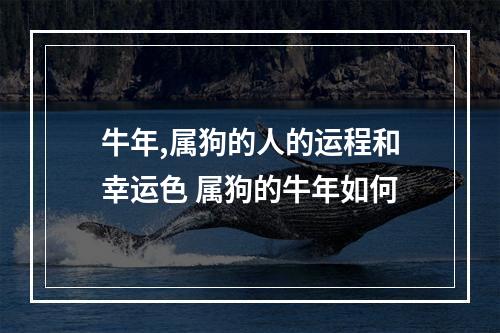 牛年,属狗的人的运程和幸运色 属狗的牛年如何