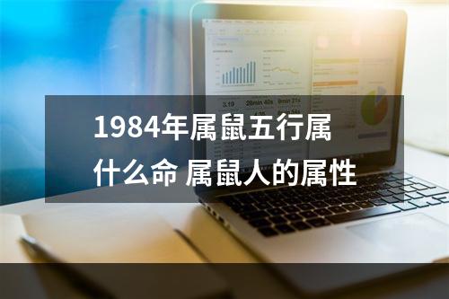 1984年属鼠五行属什么命 属鼠人的属性