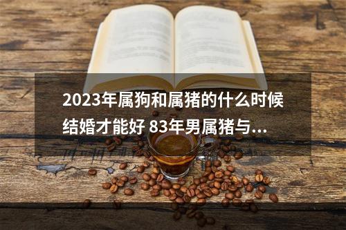 2023年属狗和属猪的什么时候结婚才能好 83年男属猪与82年女属狗婚配结婚吉日