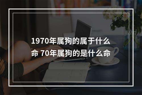 1970年属狗的属于什么命 70年属狗的是什么命
