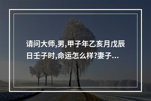 请问大师,男,甲子年乙亥月戊辰日壬子时,命运怎么样?妻子,乙丑年戊子月... 男命日柱是壬子的对妻子有影响吗