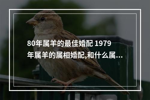 80年属羊的最佳婚配 1979年属羊的属相婚配,和什么属相最配?