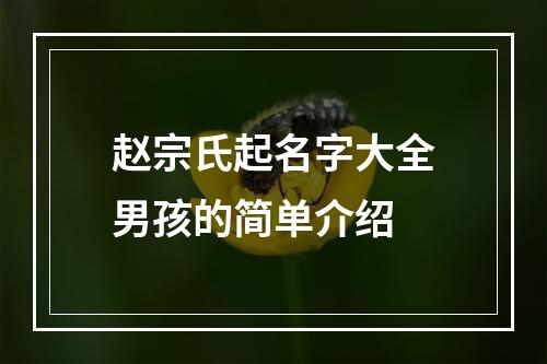 赵宗氏起名字大全男孩的简单介绍