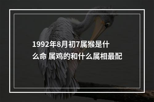 1992年8月初7属猴是什么命 属鸡的和什么属相最配