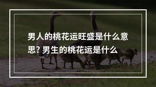 男人的桃花运旺盛是什么意思? 男生的桃花运是什么