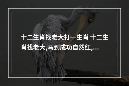 十二生肖找老大打一生肖 十二生肖找老大,马到成功自然红,梅花三月二度开,站在绿旁候佳音。猜一...