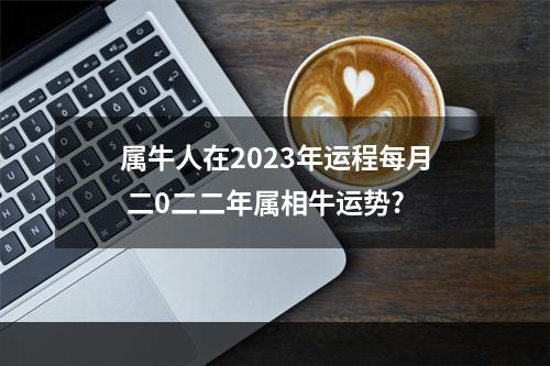 属牛人在2023年运程每月 二0二二年属相牛运势?