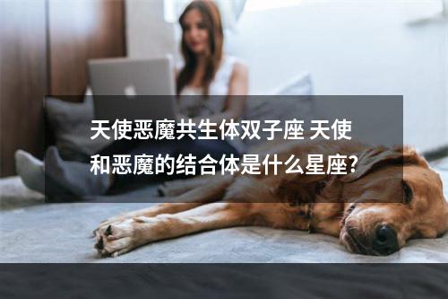 天使恶魔共生体双子座 天使和恶魔的结合体是什么星座?