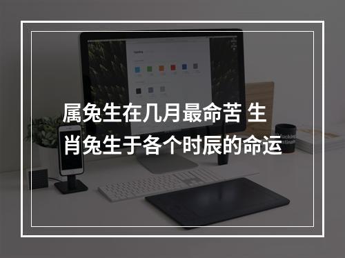 属兔生在几月最命苦 生肖兔生于各个时辰的命运