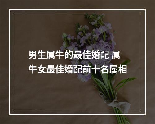 男生属牛的最佳婚配 属牛女最佳婚配前十名属相