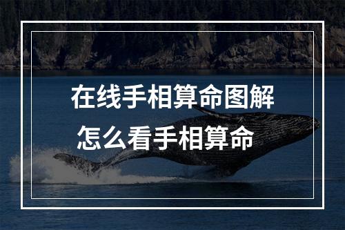 在线手相算命图解 怎么看手相算命