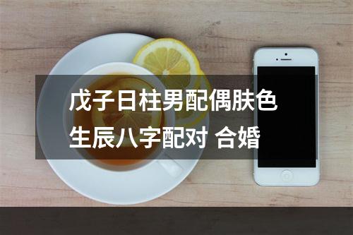戊子日柱男配偶肤色 生辰八字配对 合婚