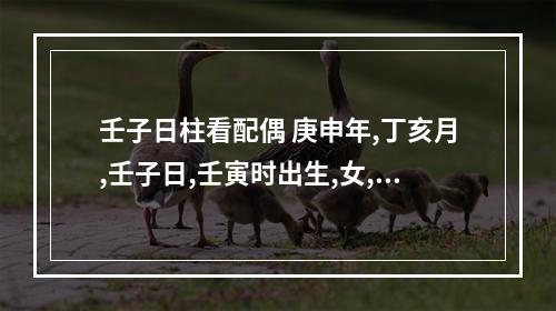 壬子日柱看配偶 庚申年,丁亥月,壬子日,壬寅时出生,女,应配什么日子(或生肖)出生的男子...