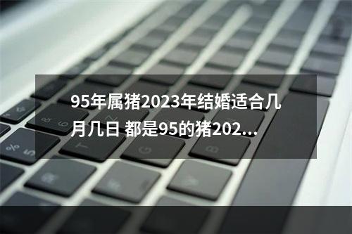 95年属猪2023年结婚适合几月几日 都是95的猪2023年结婚最好月份