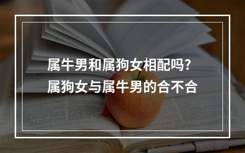 属牛男和属狗女相配吗? 属狗女与属牛男的合不合