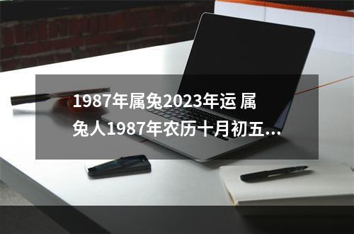 1987年属兔2023年运 属兔人1987年农历十月初五,一生的运势?