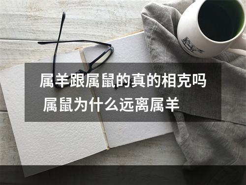 属羊跟属鼠的真的相克吗 属鼠为什么远离属羊
