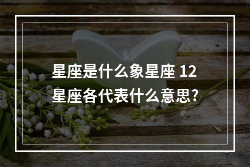 星座是什么象星座 12星座各代表什么意思?