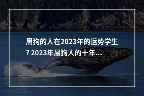 属狗的人在2023年的运势学生? 2023年属狗人的十年运势