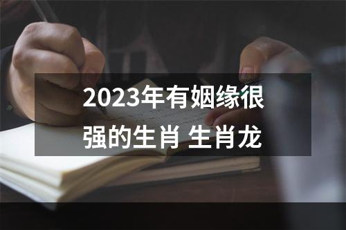 2023年有姻缘很强的生肖 生肖龙