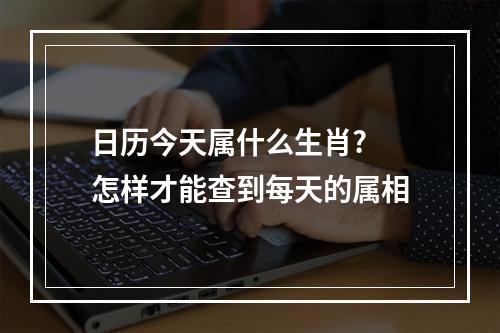 日历今天属什么生肖? 怎样才能查到每天的属相